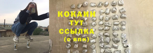 ГАЛЛЮЦИНОГЕННЫЕ ГРИБЫ Богданович