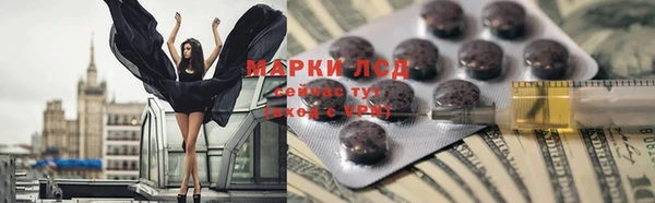 ГАЛЛЮЦИНОГЕННЫЕ ГРИБЫ Богданович