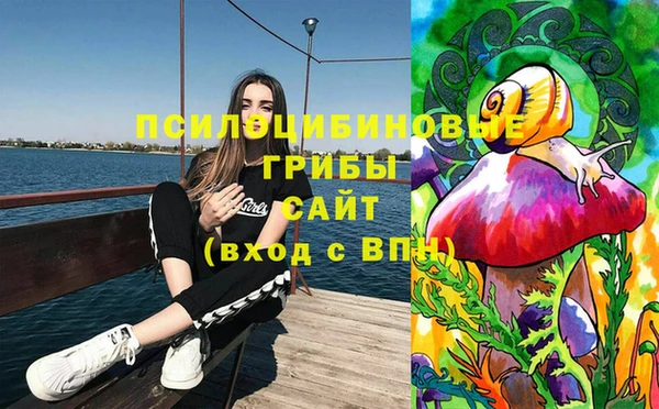 гашиш Богородск