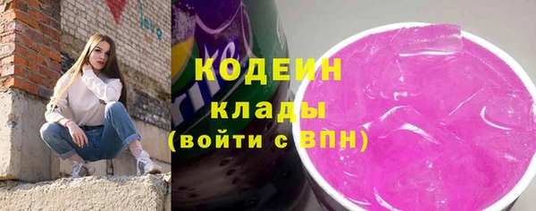 ГАЛЛЮЦИНОГЕННЫЕ ГРИБЫ Богданович