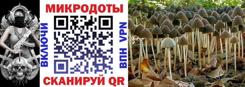 Псилоцибиновые грибы мицелий  Купить  Уяр 